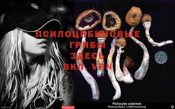 винт Арсеньев
