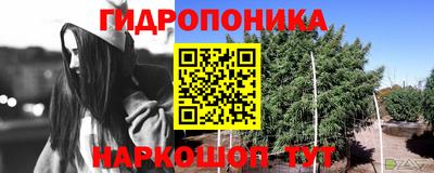 дурь Ачхой-Мартан