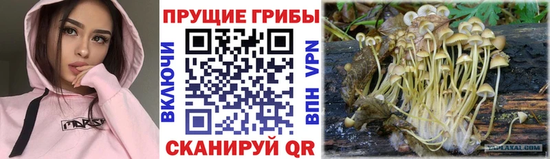 Галлюциногенные грибы мицелий Всеволожск