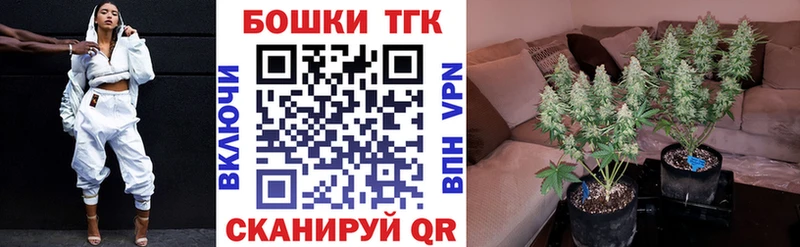 Марихуана MAZAR  купить  сайты  Всеволожск 